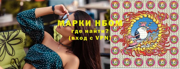 дмт Бородино