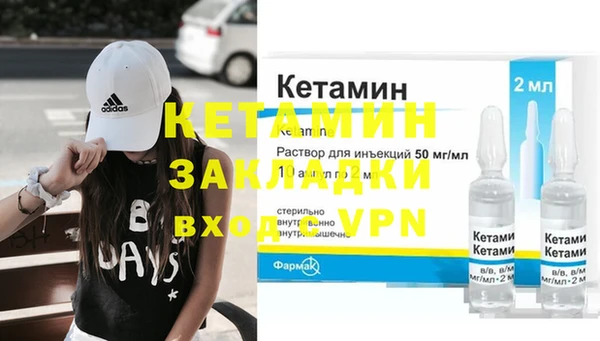 дмт Бородино