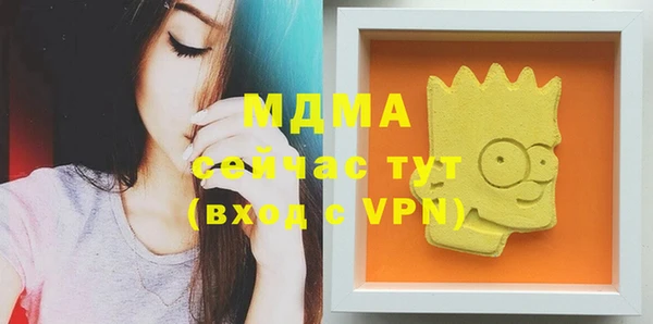 дмт Бородино