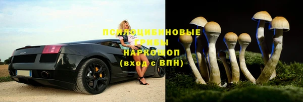 COCAINE Богданович