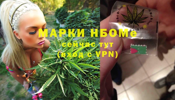 дмт Бородино