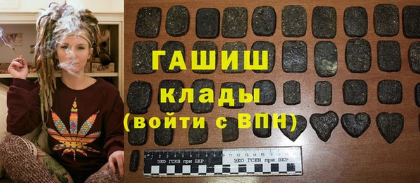 дмт Бородино