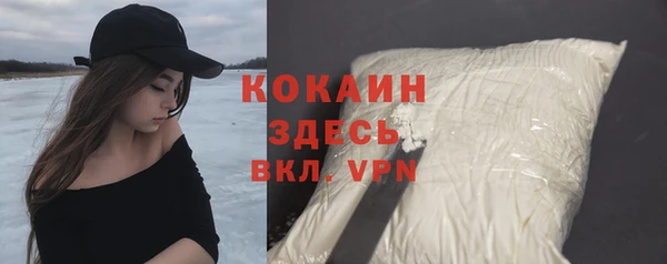дмт Бородино