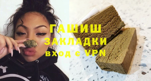 дмт Бородино