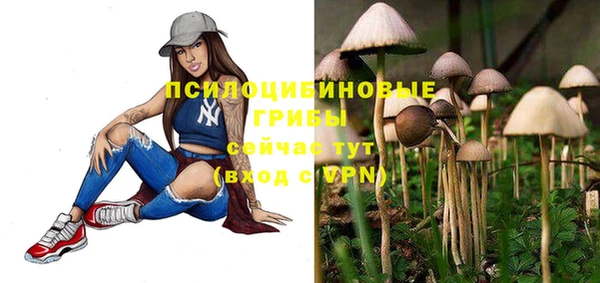 дмт Бородино