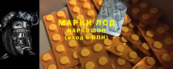 дмт Бородино