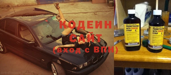 дмт Бородино